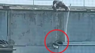 Спасителна акция на котка само с въже и кофа (видео)