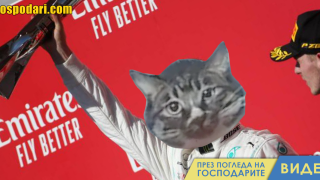 Котка изумява с бързата си лапичка (видео)