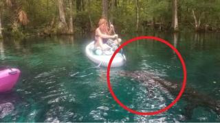 Жена отблъсва огромен алигатор с гребло в напечена ситуация (видео)