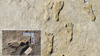 Отпечатъци от 23 000 години пренаписват човешката история на Америка (видео)