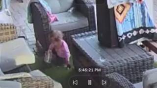 Мъж изпадна в шoк, след като видя дъщеря си небрежно да играе с огромна тарантула (видео)