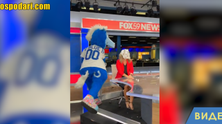 Талисман замерва водещи на Fox News с пайове (видео)