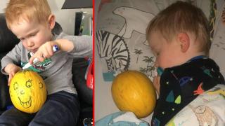 4-годишно момченце заспива само ако има пъпеш до себе си