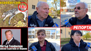 Нападения и заплахи след като ви показахме общински съветник, който тормози цяло село с крави-субсидарки (РЕПОРТАЖ)