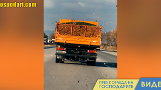 Ето как се извозват листата от София (видео)