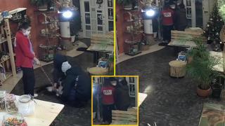 Стопани откраднаха кучето си от ветеринарна клиника в София заради огромна сметка (видео)