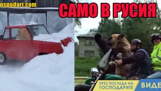 Неща, които могат да се случат само в Русия (видео)