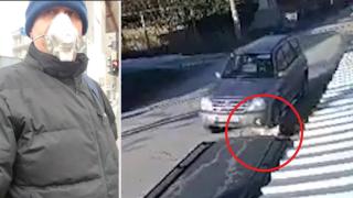 Повдигнаха обвинение на мъжа, прегазил умишлено кучето Роска