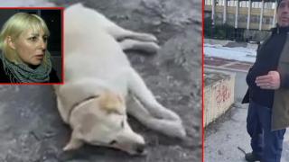 Служители на приют масово упояват бездомни кучета в центъра на Благоевград (видео)