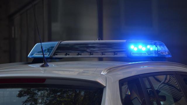 Задържаха насилника, пребил жестоко жена си във Враца