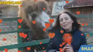 Камила ухапа репортер на БНТ (видео)