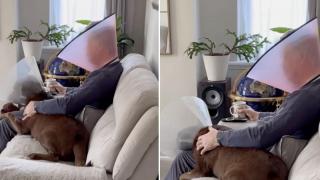 Мъж носи конус на главата заедно с кучето си, претърпяло операция (видео)