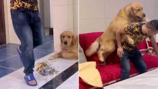 Собственик обръща паничката на куче и то отмъщава веднага (видео)