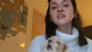 Куче с певчески талант иска изява пред камера (видео)