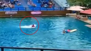 Делфин нападна дресьора си пред ужасените зрители на аквашоу (видео)