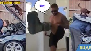 Котка затисна човек с капака на кола (видео)