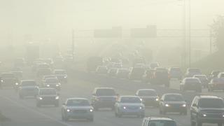 Мръсният въздух убива всеки шести в света, а България е сред най-опасните места