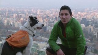 Куче събира боклуци от улиците на чилийската столица Сантяго (видео)