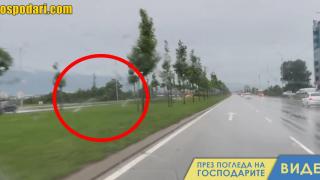 Столична община полива по време на порой (видео)