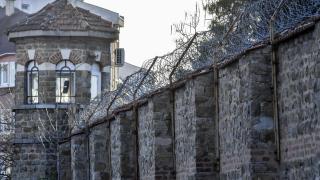 Арестуваха гълъб-наркопласьор, носещ раничка с метамфетамини