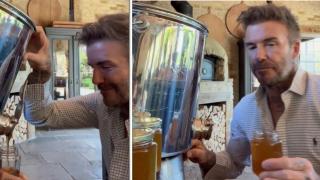 Дейвид Бекъм произведе мед от собствени кошери (видео)