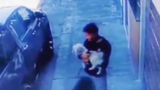 Мъж спасява падащо от прозореца куче (видео)