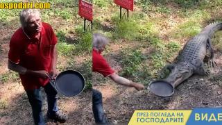 Мъж прогонва алигатор, като го удря по главата с тиган (видео)