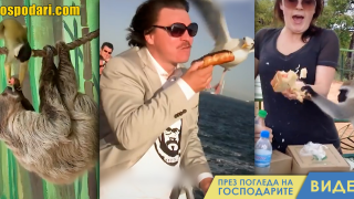 Хитри животни крадат храна (видео)