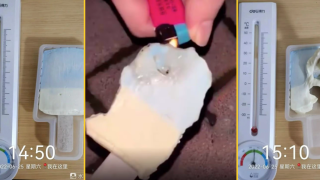 Луксозна марка сладолед скандализира мрежата с продукти, които не се топят (видео)
