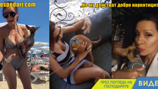 Запознайте се с едно лудо куче (видео)