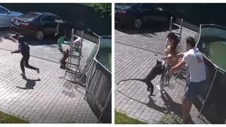 Маймуна в частен зоопарк напада 2-годишно дете (видео)