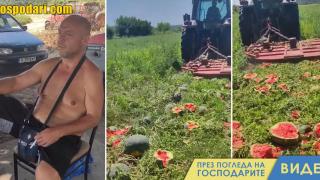 Гората.бг подарява 20 000 килограма дини на нуждаещи се