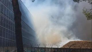 Пожар се е разразил в легендарния кинокомплекс "Чинечита" в Рим (видео)