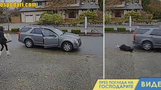 Най-неуспешните кражби, уловени на охранителни камери (видео)