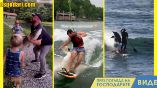 Водни животни срещу хора (видео)