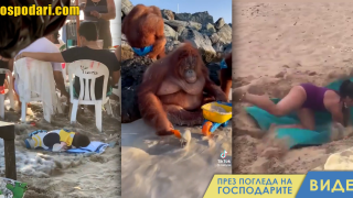 На море, като на война (видео)