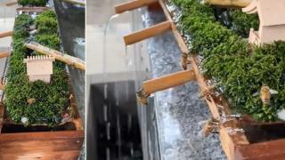 В Япония създадоха уникален фонтан за пчели (видео)