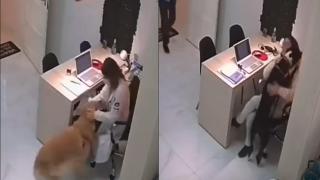 Развълнувани пациенти благодарят на ветеринарен лекар (видео)