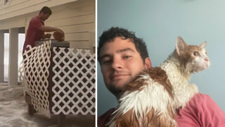 Мъж мина през наводнен двор, за да спаси котка по време на урагана Иън (видео)