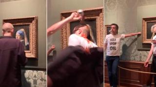 Екоактивист надраска с маркер прочута картина на Йоханес Вермеер (видео)
