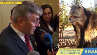 Мустафа Карадайъ към журналисти: Ако Радостин Василев каже, че сте камила, камила ли сте? (видео)
