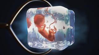 Запознайте се с близнаците, родени от замразени преди 30 години ембриони (видео)