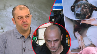 Мъж в София бе задържан за насилие над куче