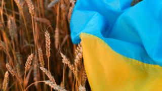 Русия е ожънала пшеница за 1 милиард долара в окупирана Украйна