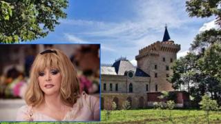 Туристи ще могат да посещават двореца на Алла Пугачова край Москва