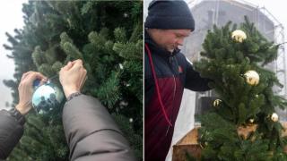Елха на непобедимостта бе поставена в Киев за празниците (видео)