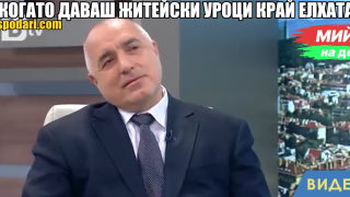 Мийм на деня: Когато даваш житейски уроци край елхата (видео)