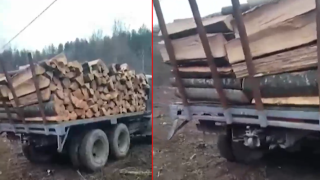 Стопираха скандална поправка в Закона за горите