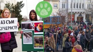 За ефективна зоополиция протестираха в няколко града (видео)