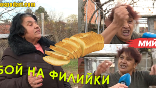 Мийм: Бой на филийки (видео)
